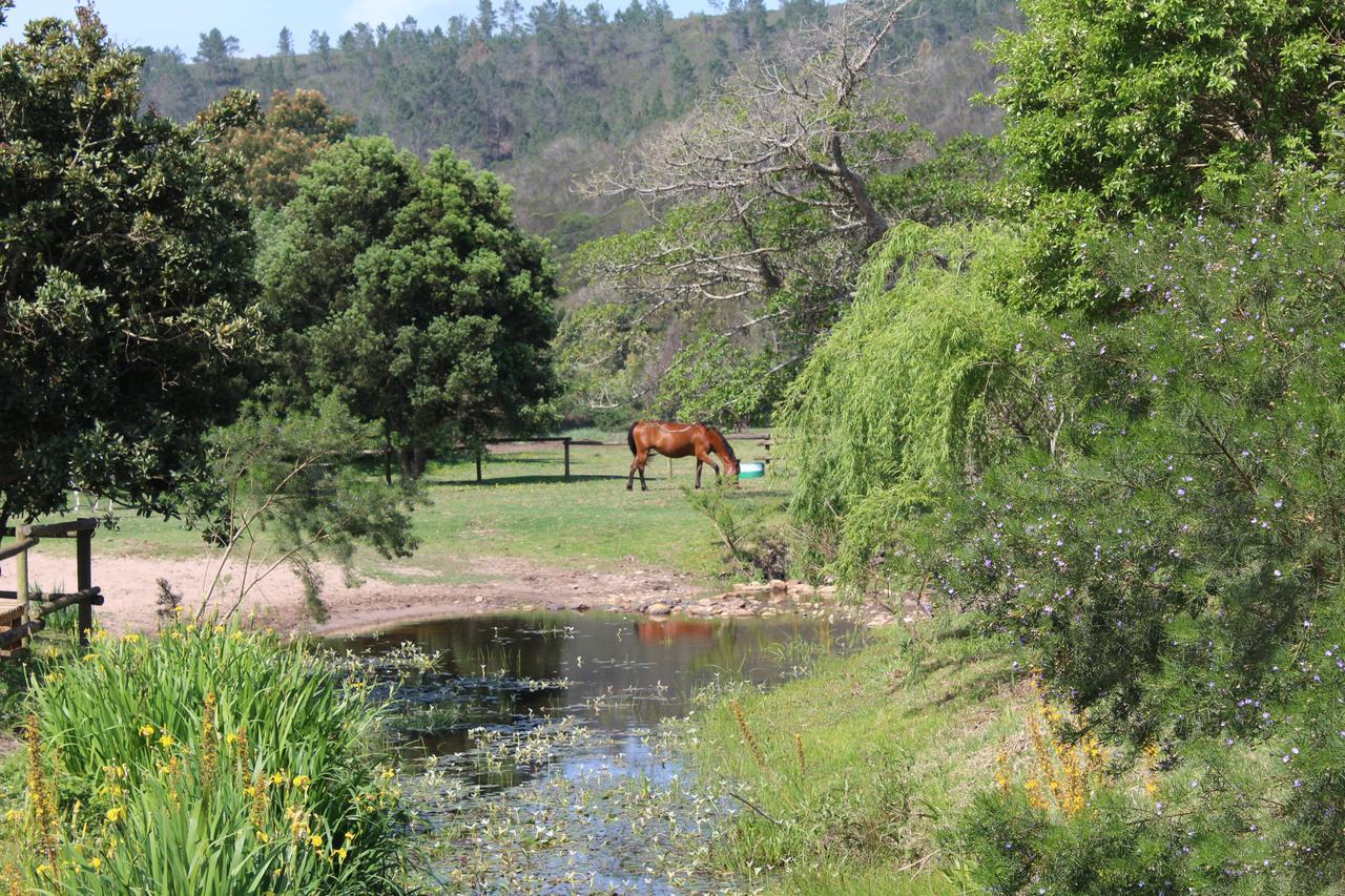 Kingfisher Cottage At Boschrivier Farm Plettenberg Bay Wittedrif Kültér fotó