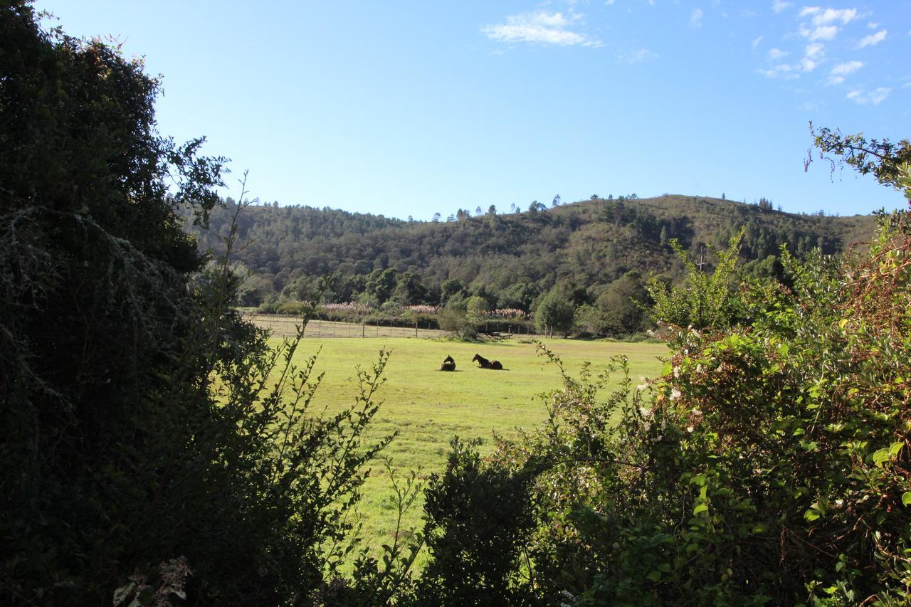 Kingfisher Cottage At Boschrivier Farm Plettenberg Bay Wittedrif Kültér fotó